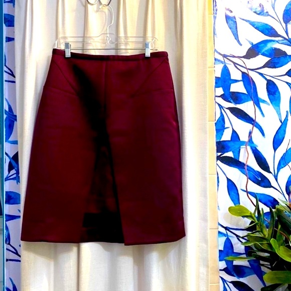 NWOT Women’s & Other Stories Cranberry Color Front Slit with Insert Lined Skirt - Picture 1 of 9